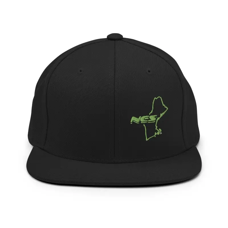 Snap Back green logo